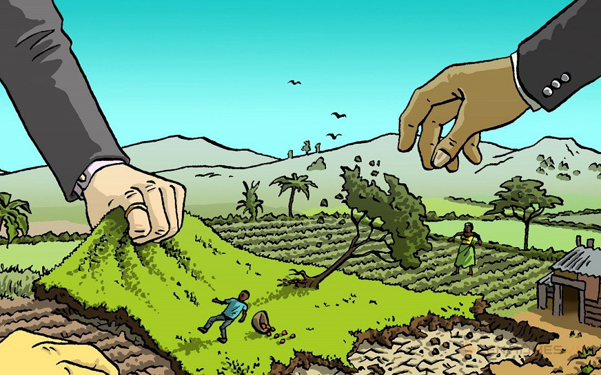 Chuyển đổi mục đích sử dụng đất