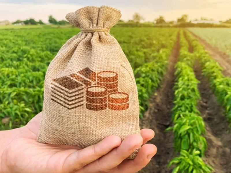 Mẫu 03_TKTH-SDDPNN - Tờ khai tổng hợp thuế sử dụng đất phi nông nghiệp