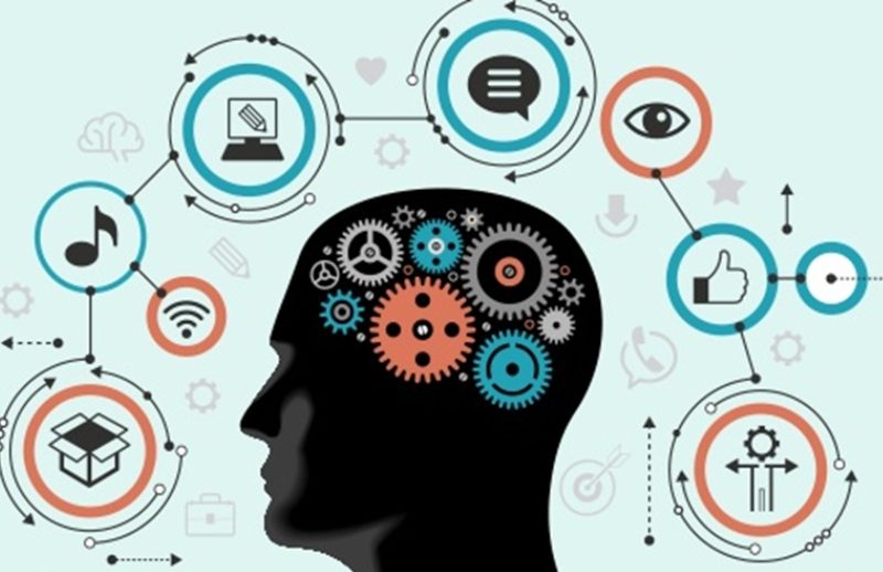 Tờ khai đăng ký dự kiểm tra nghiệp vụ  giám định quyền đối với giống cây trồng