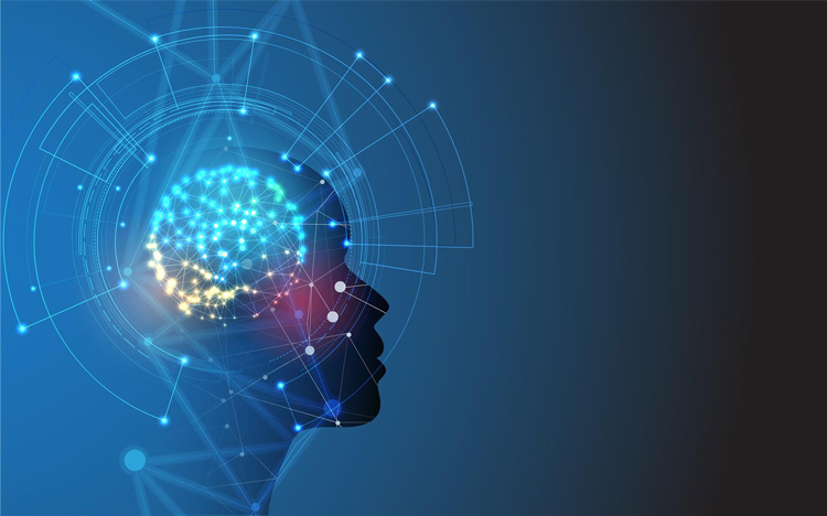 Tờ khai đăng ký hợp đồng chuyển quyền sử dụng đối tượng sở hữu công nghiệp