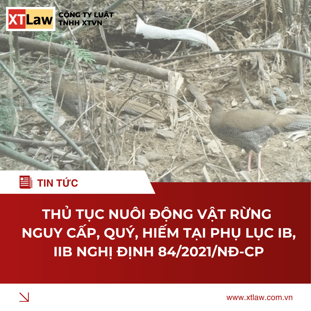 THỦ TỤC NUÔI ĐỘNG VẬT RỪNG NGUY CẤP, QUÝ, HIẾM TẠI PHỤ LỤC IB, IIB NGHỊ ĐỊNH 84/2021/NĐ-CP